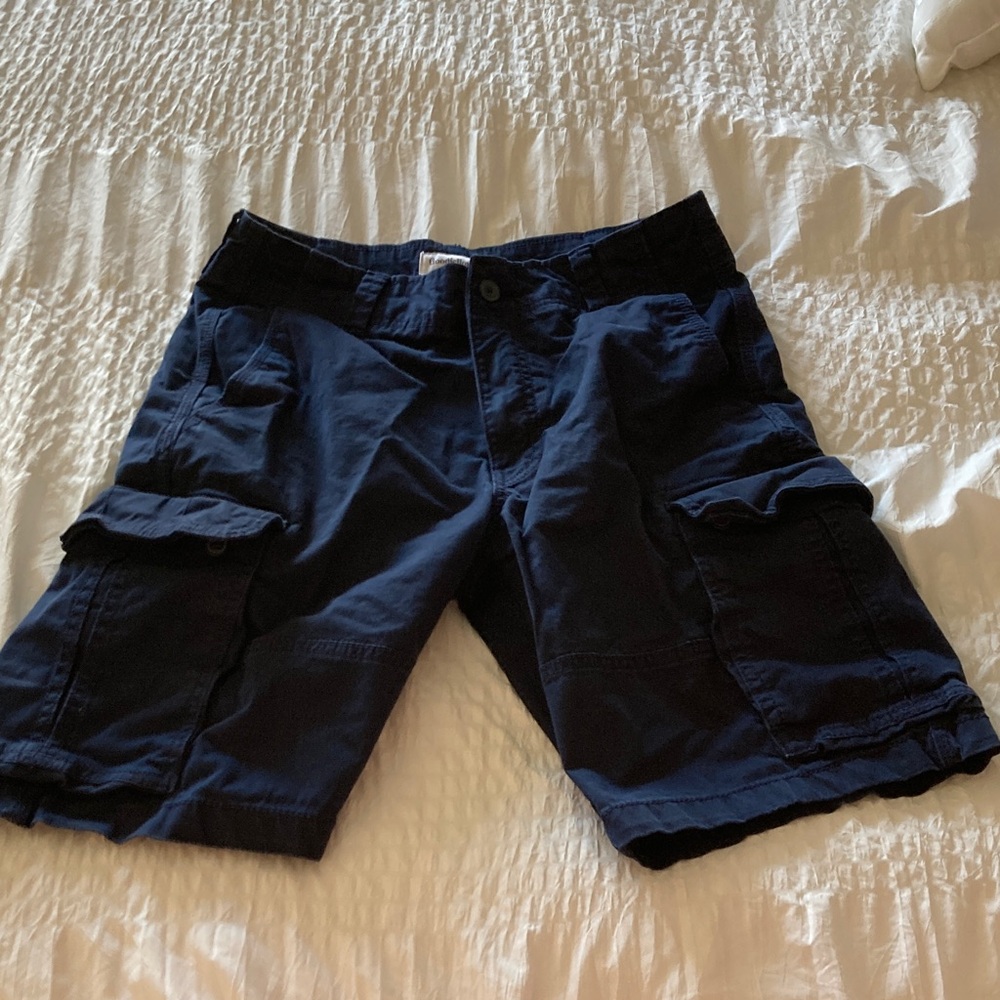 Goodfellow & Co Dark Blue Cargo Shorts